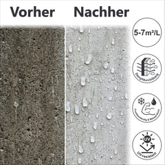 Soluzione Impregnante Mattone Facciata Sigillante Pareti Impermeabilizzante Protezione Murale W870 1-10L