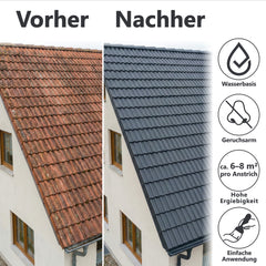 Vernice per Tetto Manto di Copertura Colore Rivestimento Tegola W510 1-20L