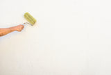 Pittura murale Grassello di calce Imbiancare pareti Interni Esterni Bianca W553 1-20L