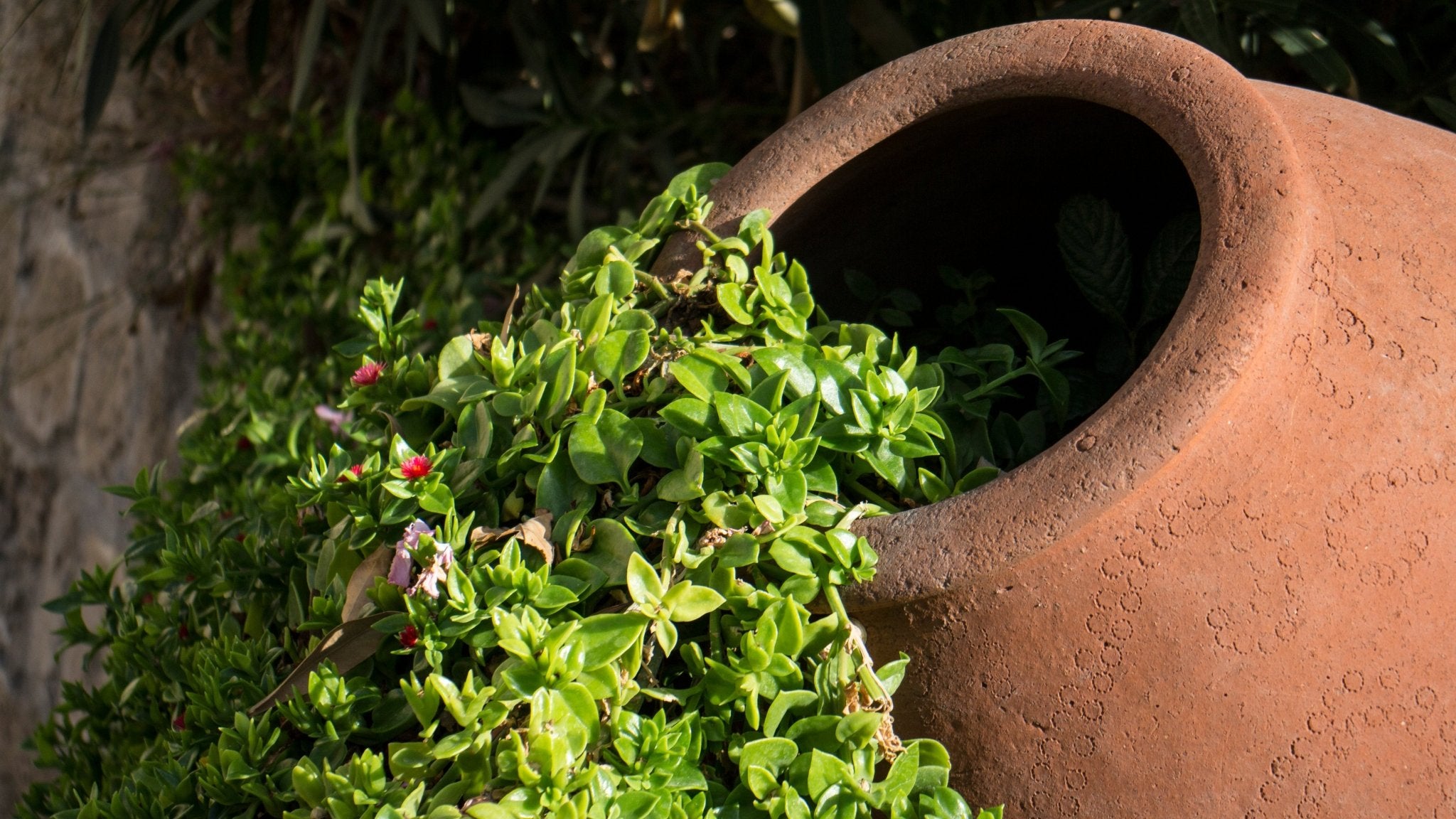 Impregnazione di terracotta pietra naturale sigillante protezione antimacchia cura W860 1-5L