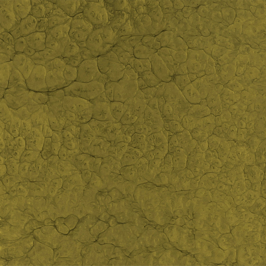 #Farbe_Gold