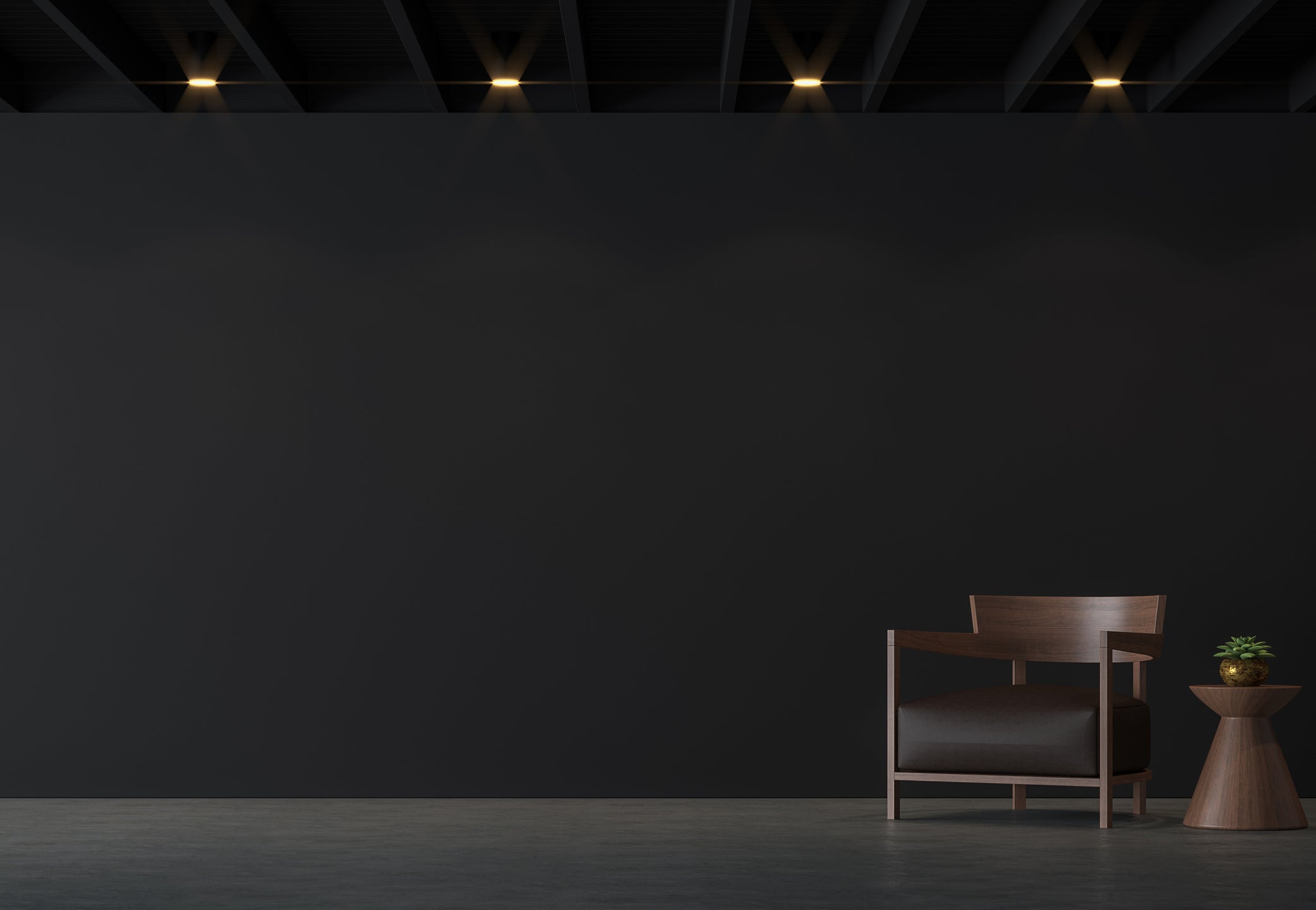 Backdrop interior wall paint - black matt - ceiling varnish dispersion SL700 5-20L